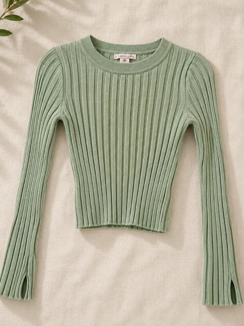 Sincerely Jules Ribbed Knit Top in Sage